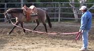 lunging