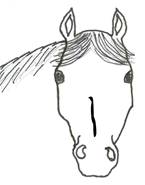 horse face markings - Students, Britannica Kids