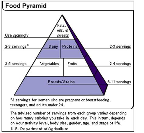 Food Pyramid 03_09