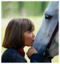 horse_kiss