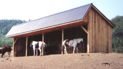 large_loafing_shed