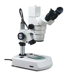 microscope